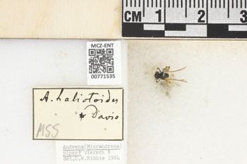 Media type: image;   Entomology 771535 Aspect: Labels